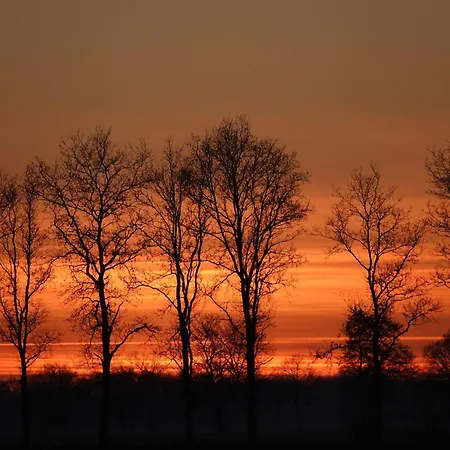 B & B Janneke Elsloo Friesland-2
